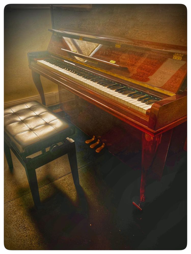 NOtre studio D7 est doté d'un Steigerman pour la pratique du piano acoustique à Lachine.